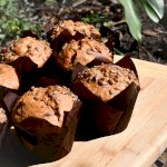 Muffin cuits aux carottes