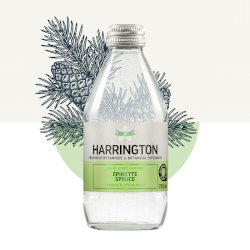 Eau de source pétillante épinette douce