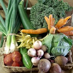 Panier de légumes