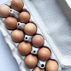 Oeufs de poule en liberté