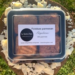 Fondue parmesan régulière