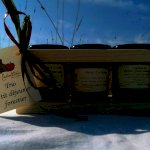 Trio P'tit déjeuner forestier