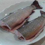 Truite mouchetée (ombre de fontaine)