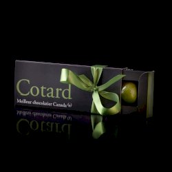 Boîte 4 chocolats assortis