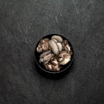 Champignons pleurotes frais