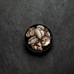 Champignons pleurotes frais