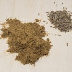 Cumin en poudre