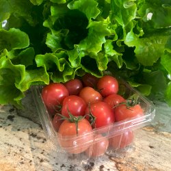 Duo tomates cerises et laitue