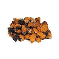 Chaga en morceaux 454g