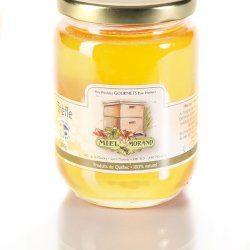 Miel de trèfle 500g