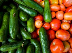 Duo Concombres/Tomates