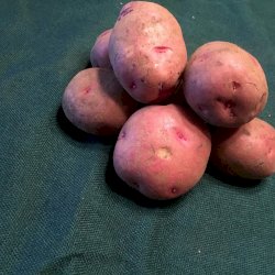 pommes de terre