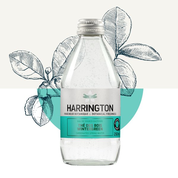 12 x eau de source pétillante thé des bois, harrington pétillants botaniques , harrington | maturin.ca, maturin, épicerie en ligne, commande en ligne, livraison à domicile, alimentation, producteur, quebec, canada