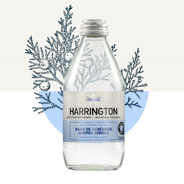 product name