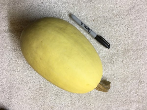 product name