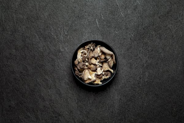 champignons pleurotes déshydratés, 20 g , blanc de gris - champignons frais | maturin.ca, maturin, épicerie en ligne, commande en ligne, livraison à domicile, alimentation, producteur, quebec, canada